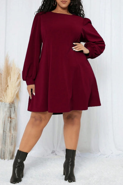 Casual Solid Basic O Neck Long Sleeve Plus Size Dresses