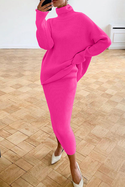 Casual Solid Basic Turtleneck Long Sleeve Two Pieces