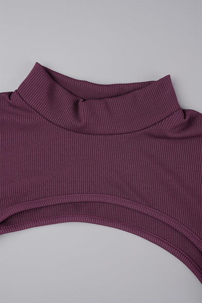 Sexy Casual Solid Basic Turtleneck Long Sleeve Two Pieces