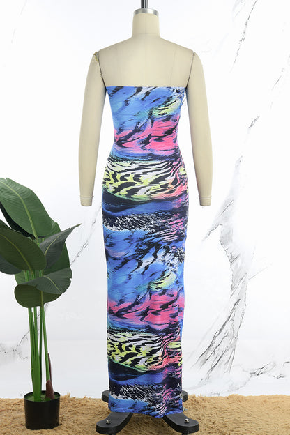 Sexy Casual Print Backless Strapless Long Dress Dresses