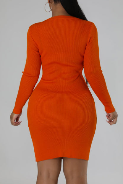 Casual Solid Basic O Neck Long Sleeve Dresses