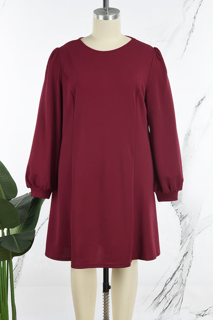 Casual Solid Basic O Neck Long Sleeve Plus Size Dresses