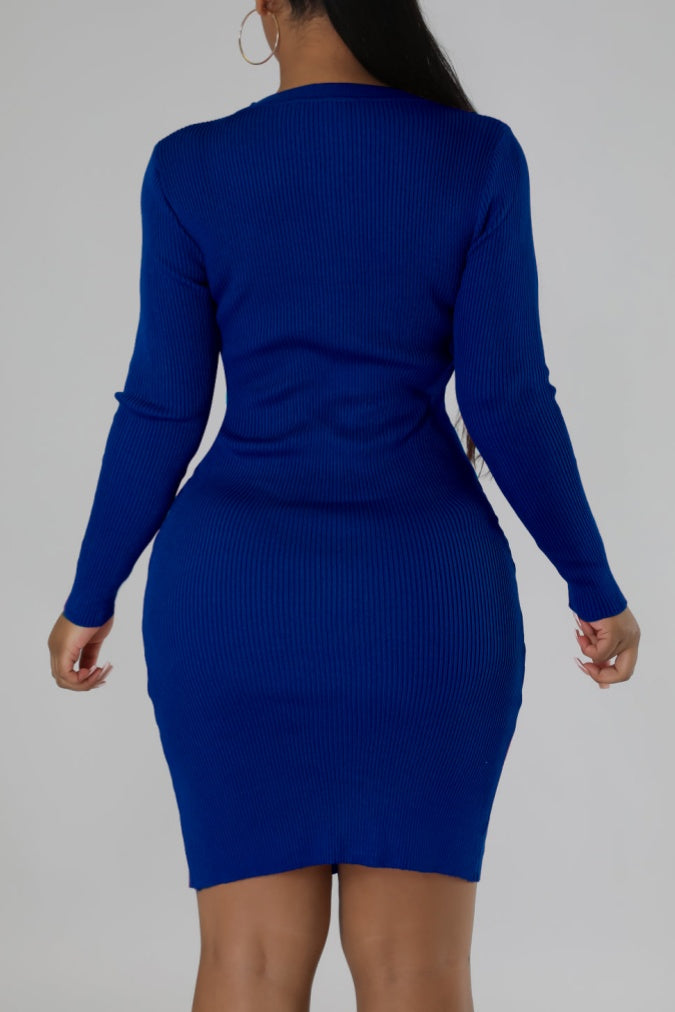 Casual Solid Basic O Neck Long Sleeve Dresses