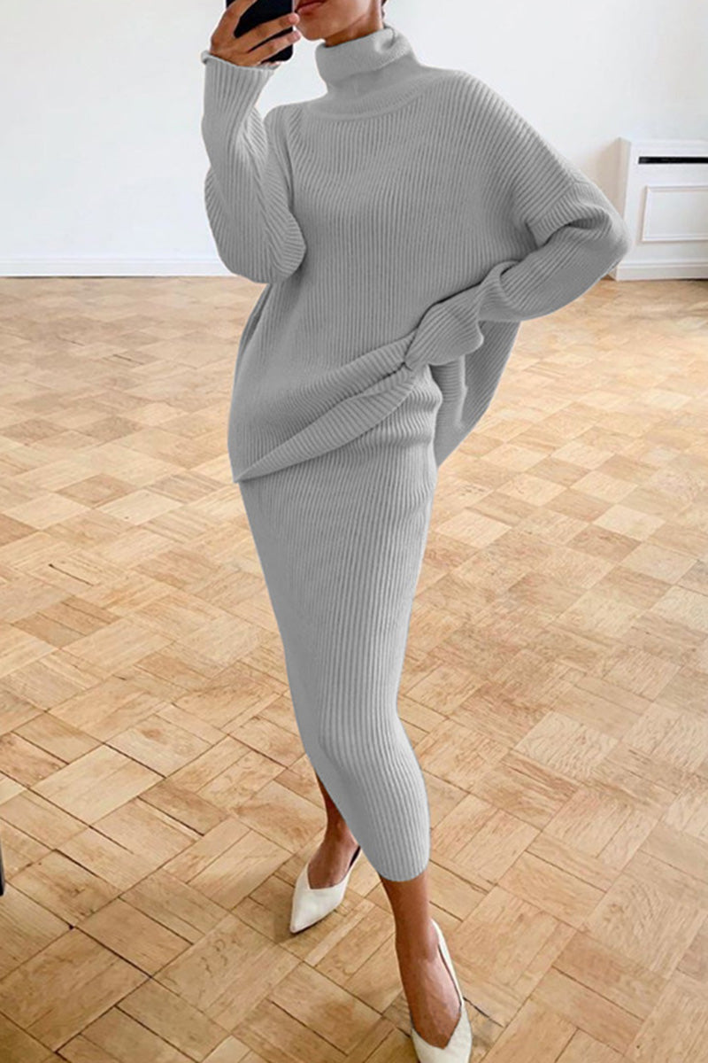 Casual Solid Basic Turtleneck Long Sleeve Two Pieces