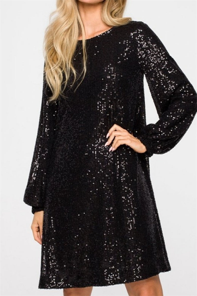 Casual Patchwork Sequins O Neck Long Sleeve Dresses