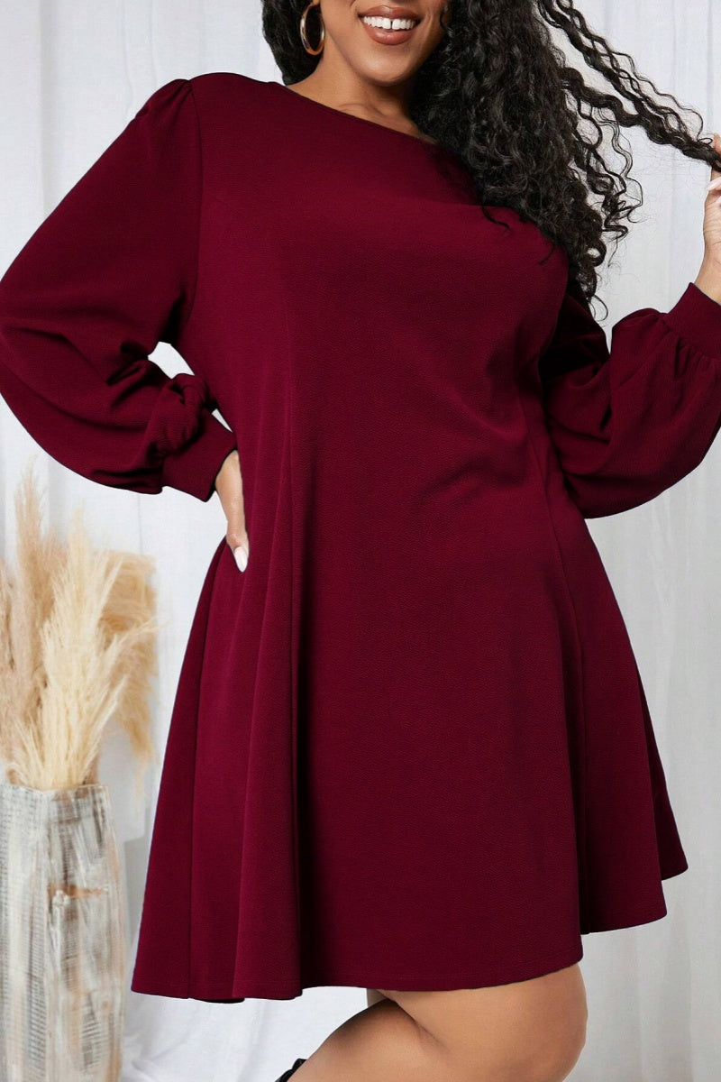 Casual Solid Basic O Neck Long Sleeve Plus Size Dresses