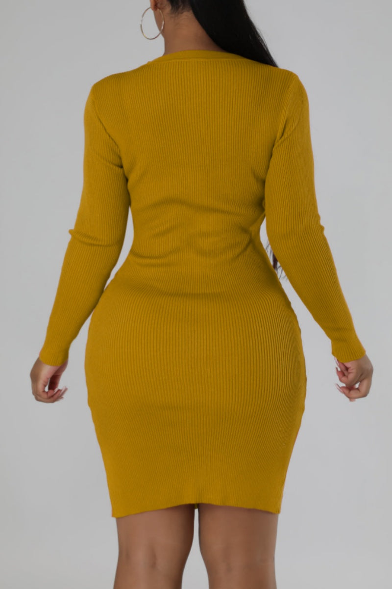 Casual Solid Basic O Neck Long Sleeve Dresses