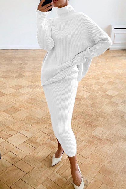 Casual Solid Basic Turtleneck Long Sleeve Two Pieces